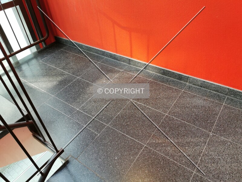 Photo 213-223-409
