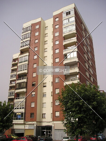 Photo 213-239-462