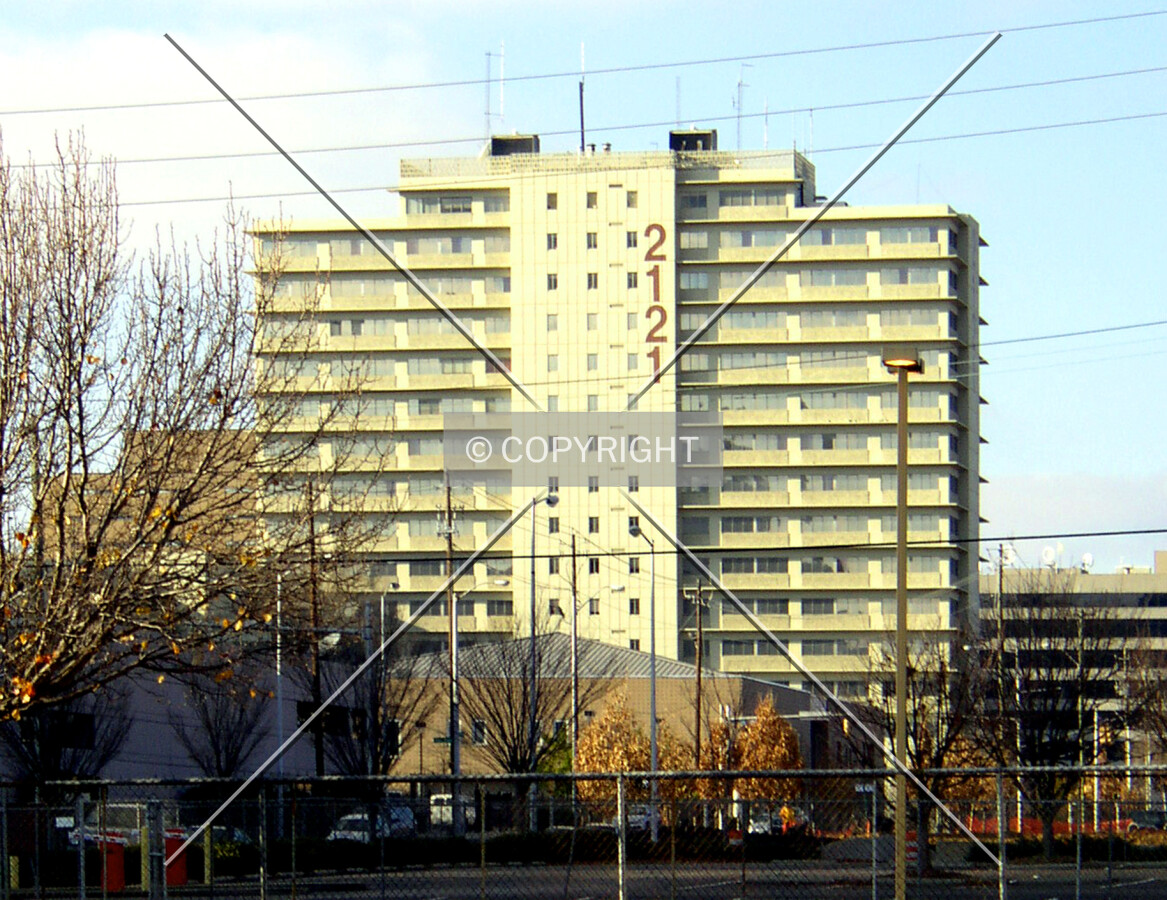 Distant view from the south