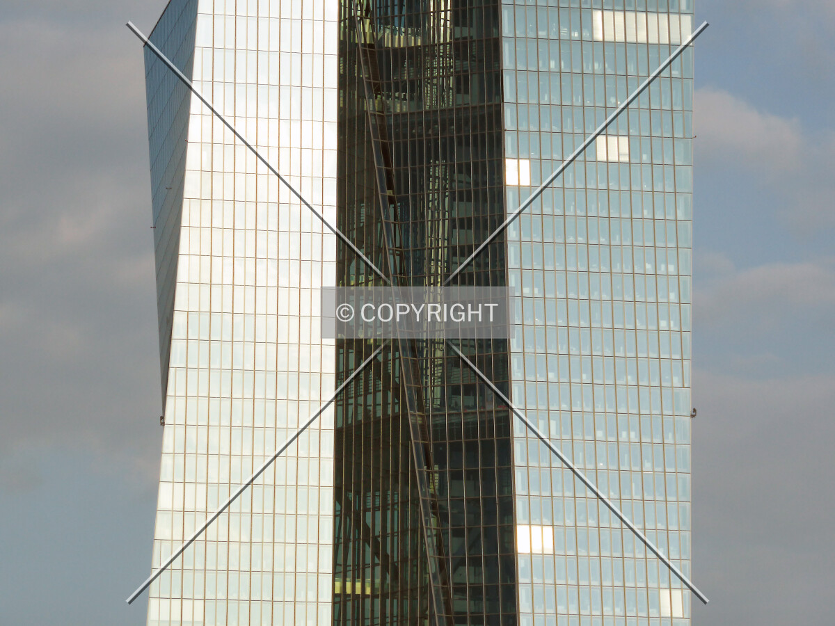 Photo 216-341-824
