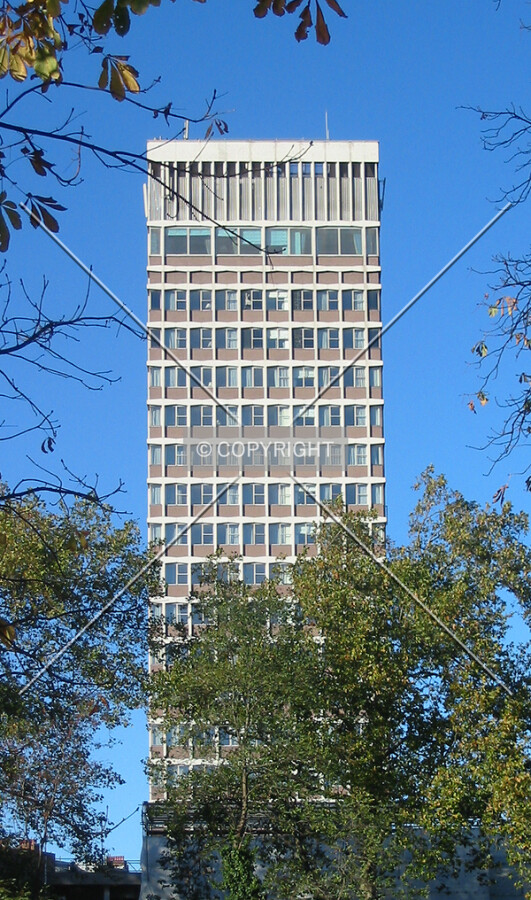 The tower presents a slender profile from Hyde Park