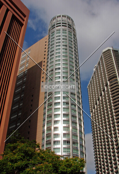Photo 217-113-267