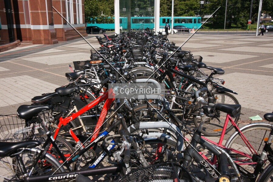 Many bicycles