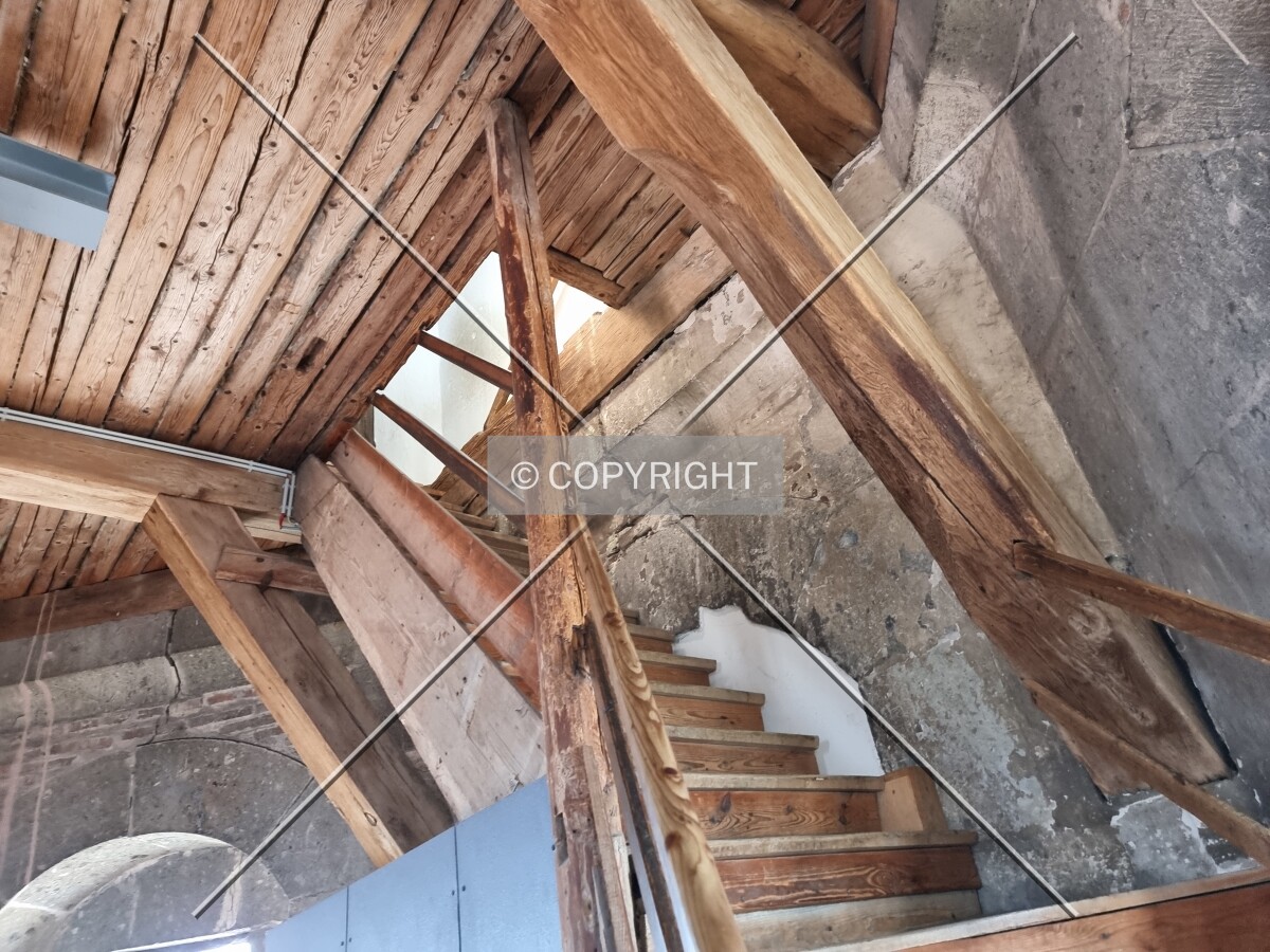 Photo 218-264-493