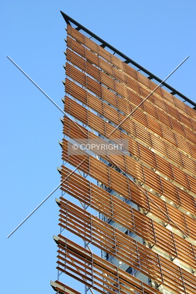 Photo 219-320-398