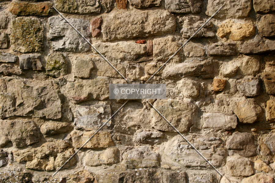 Photo 219-737-542