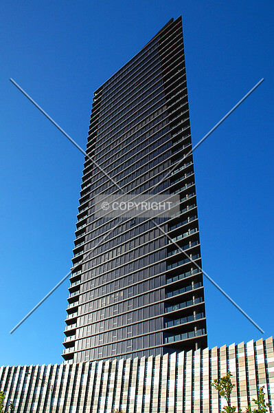 Photo 219-808-604