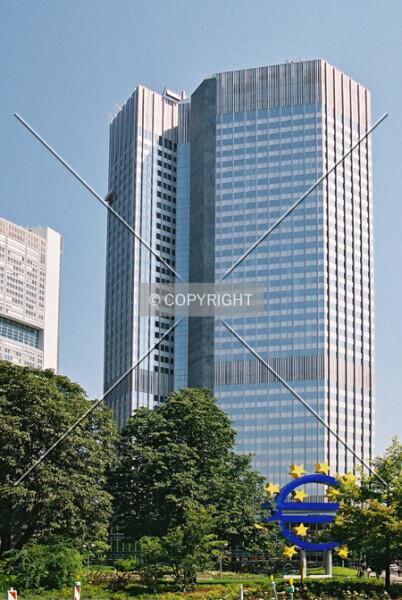 Photo 222-262-109
