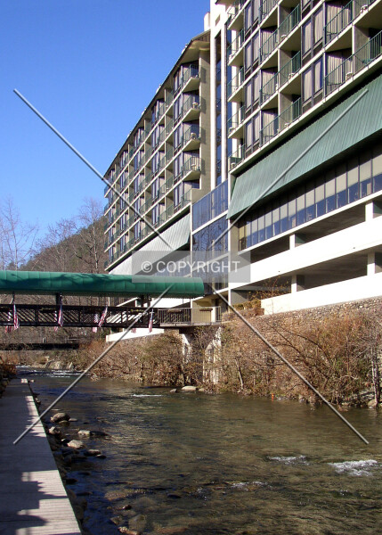 Photo 222-765-229