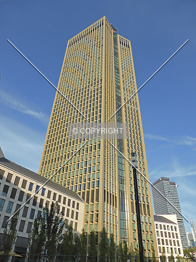 Looking up the tower