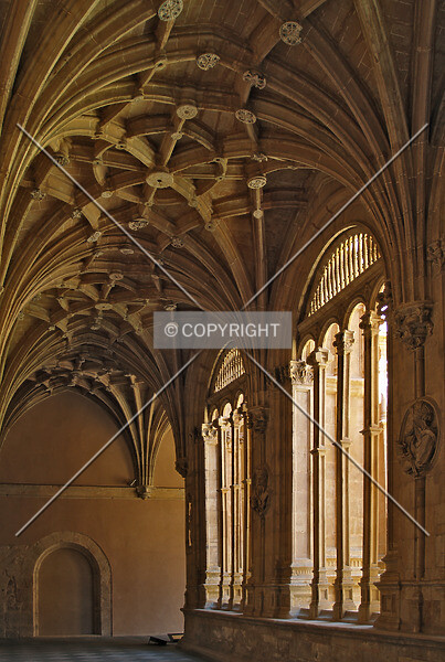 Photo 223-535-354