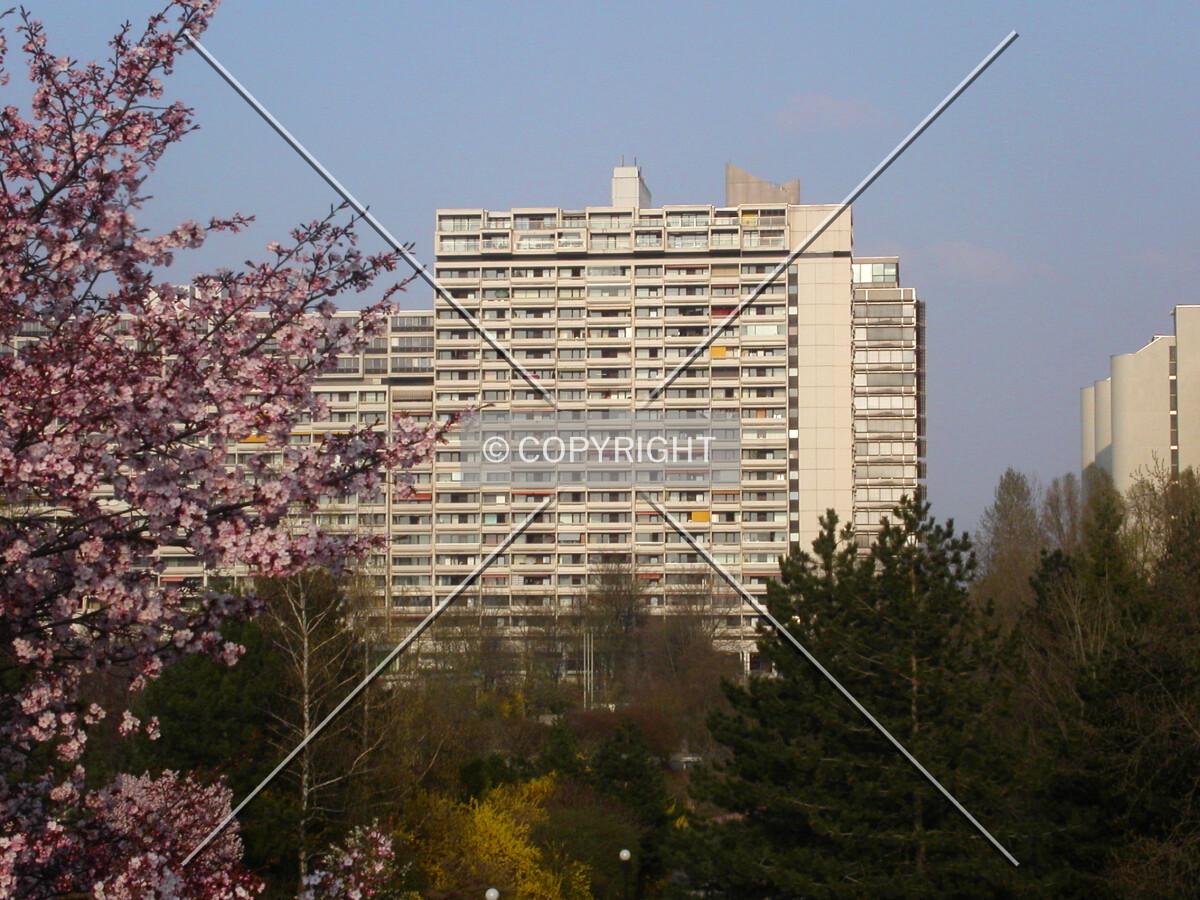 View from the west