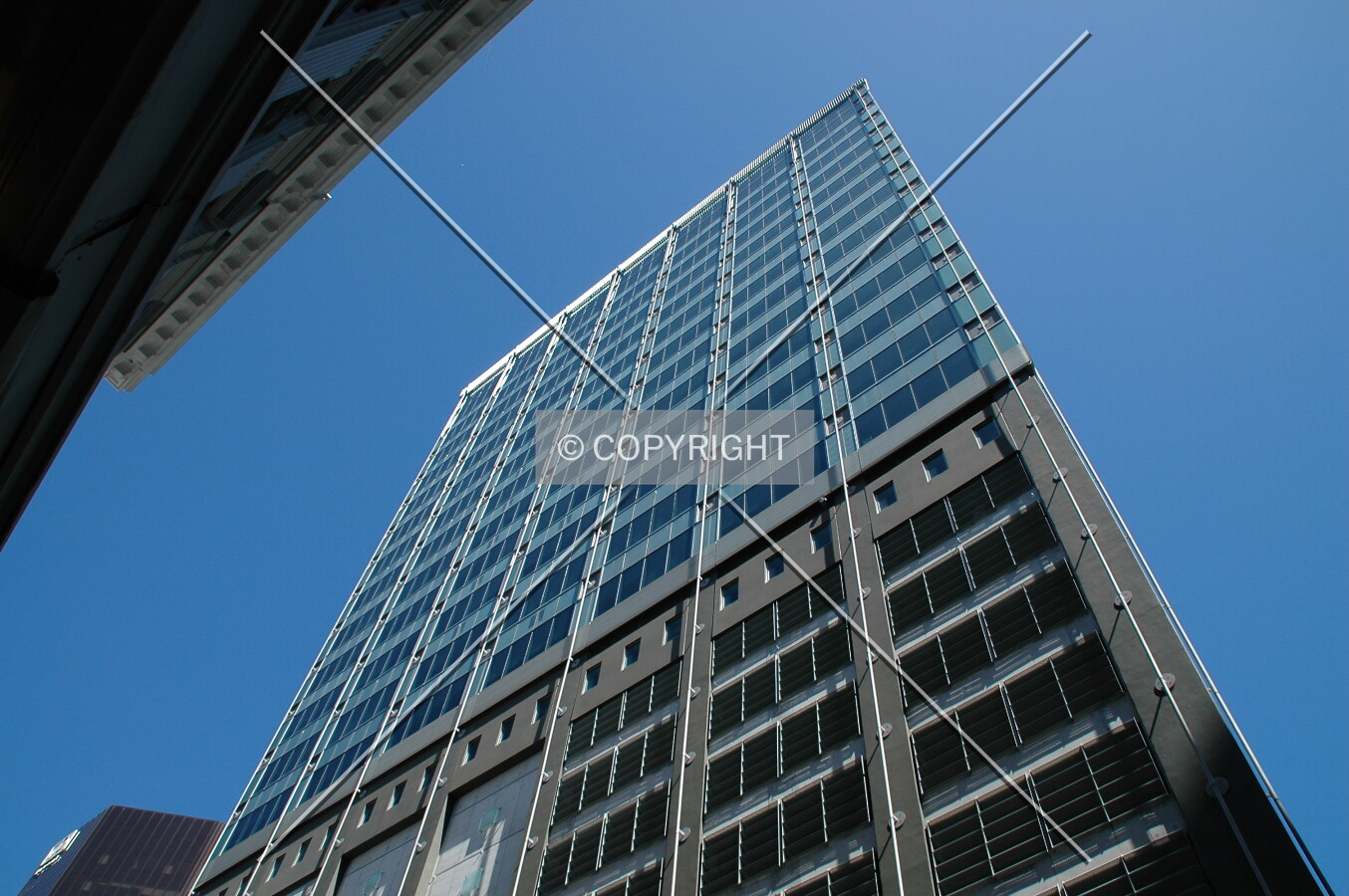 Looking straight up