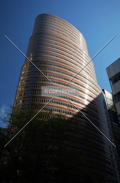 Photo 226-207-908