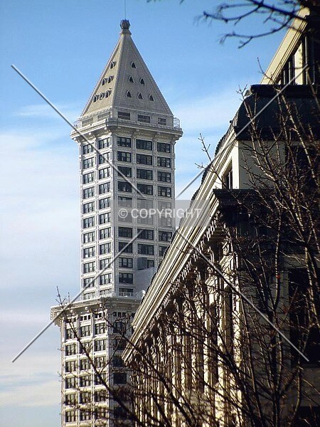 Photo 227-362-346