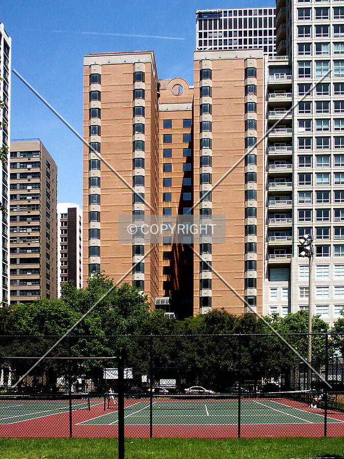 View from the south