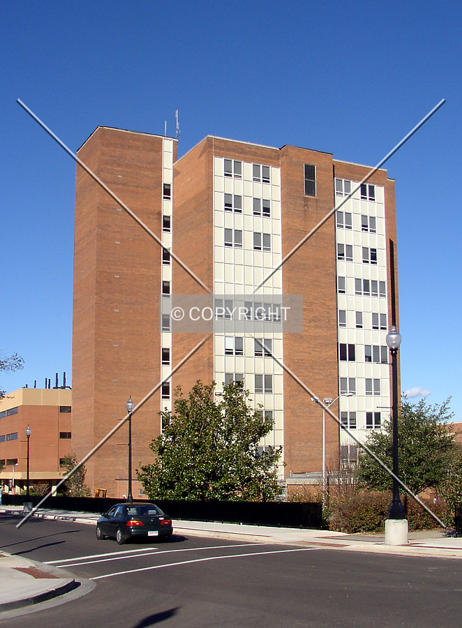 View from the south