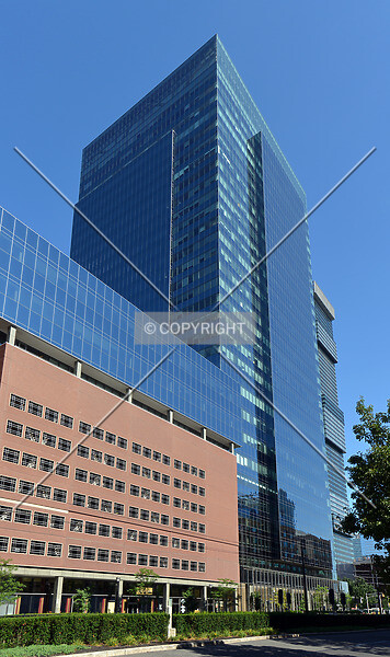 Photo 229-272-938
