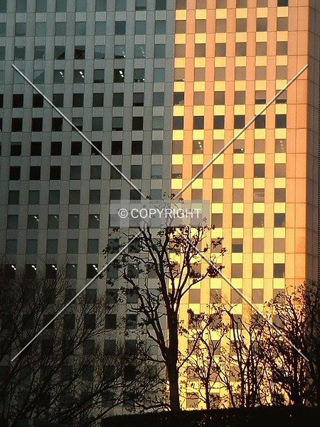 Photo 229-829-084