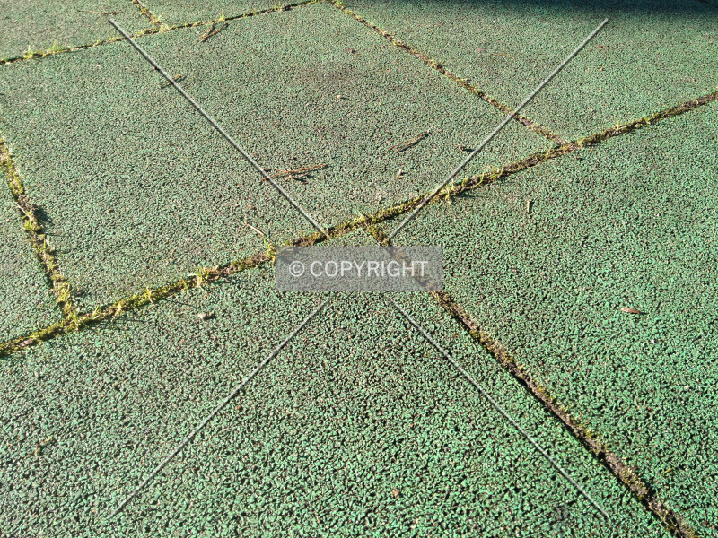 Photo 232-087-469