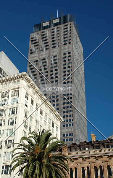 Photo 233-166-452