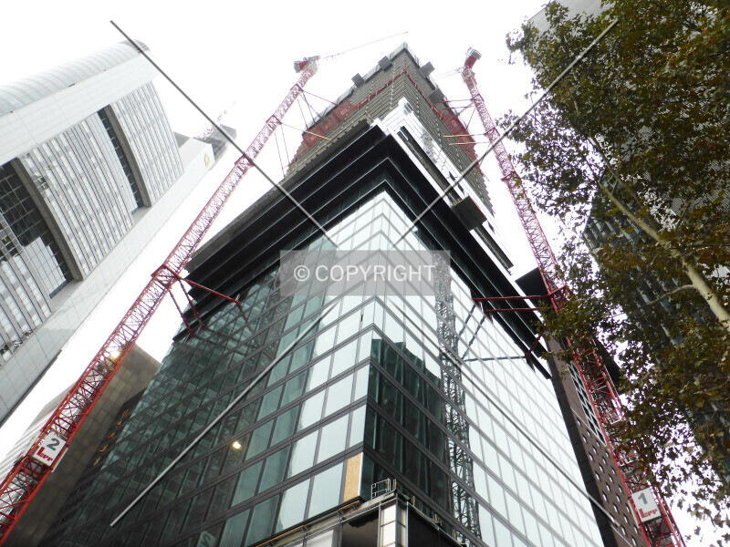 Photo 234-240-293