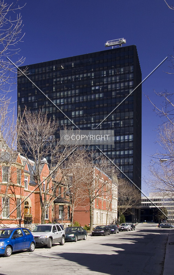 View from Avenue Elm