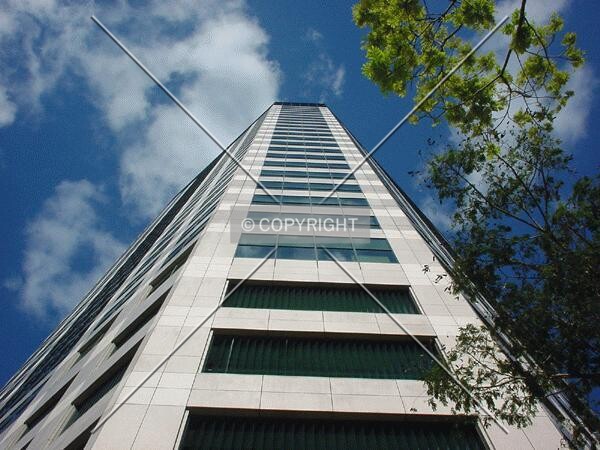 View to the top