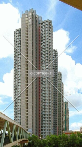 Photo 236-041-230