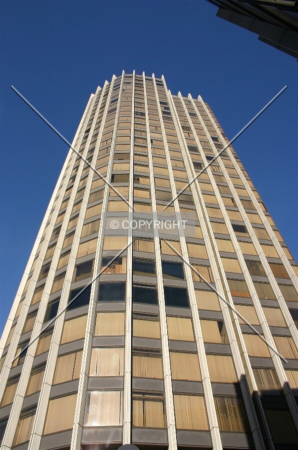 Looking up from Hatfields