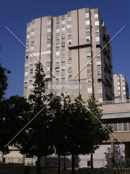 Photo 238-199-043