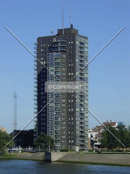 Photo 238-240-266