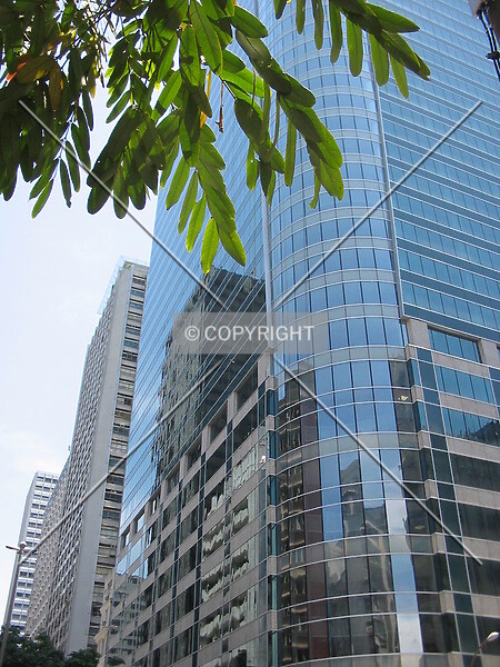 Photo 238-461-239