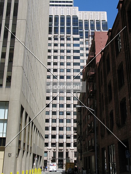 Photo 239-703-785