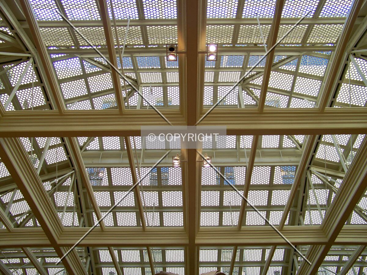 Lobby ceiling; March 5, 2010