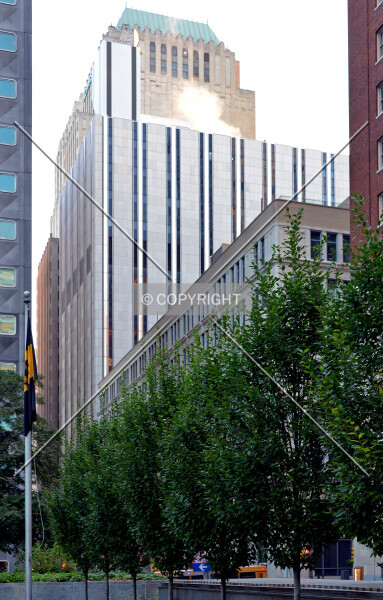 Photo 242-073-352