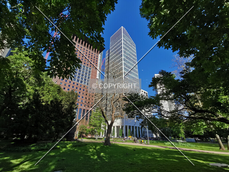 Photo 242-770-835
