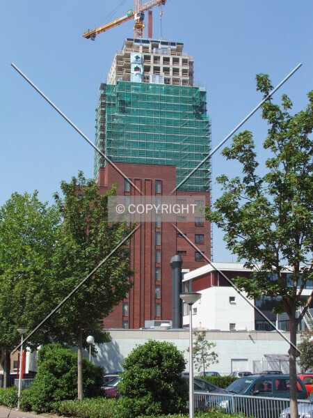 242-906-546