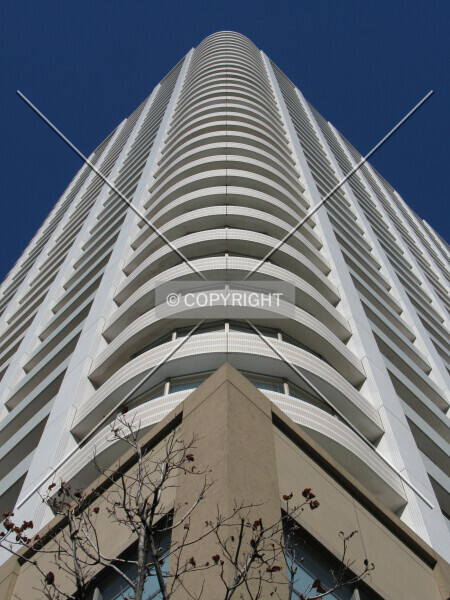 Photo 244-485-073