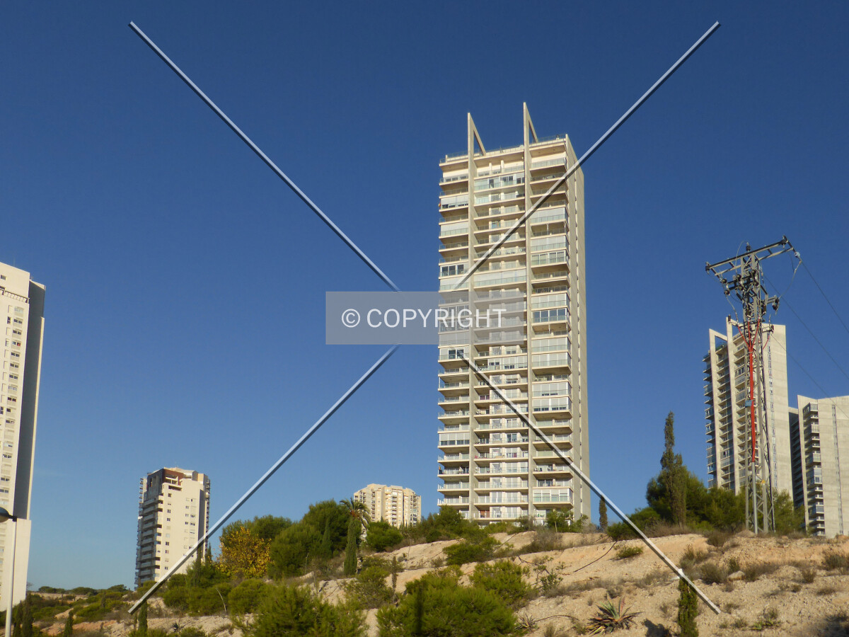 Photo 244-562-288