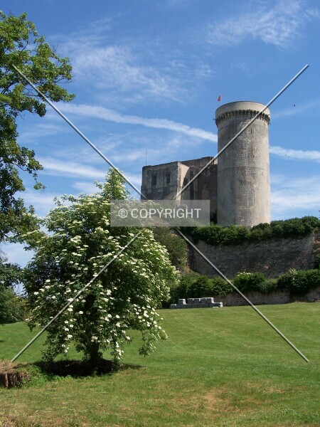 Photo 245-483-339