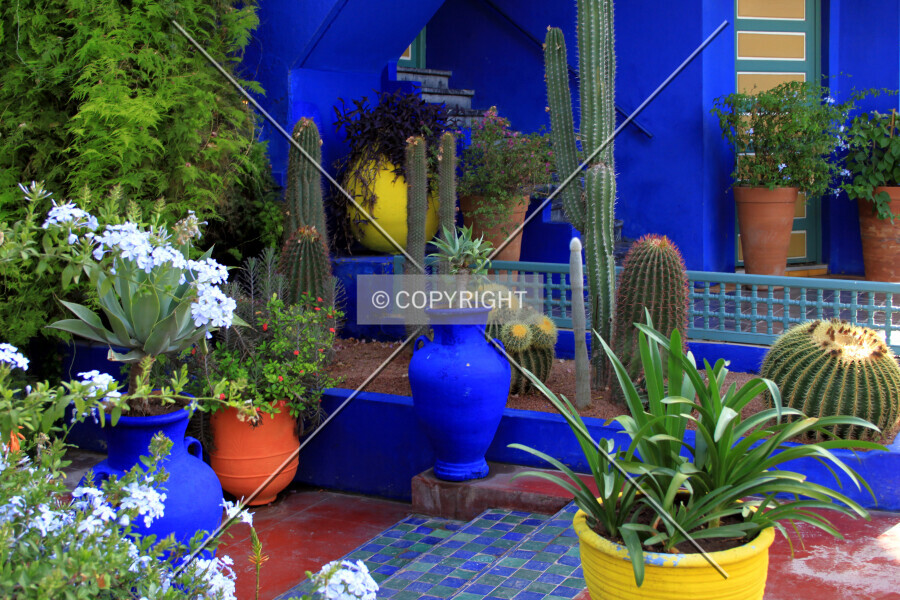 Photo 246-077-993