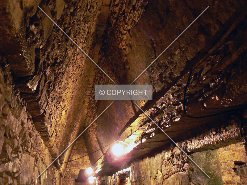 Photo 246-134-350