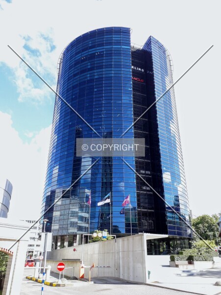 Photo 246-572-374