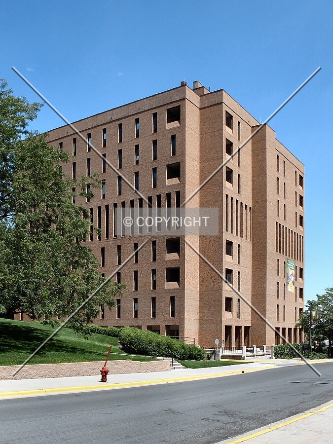 View to the east along Buford Avenue