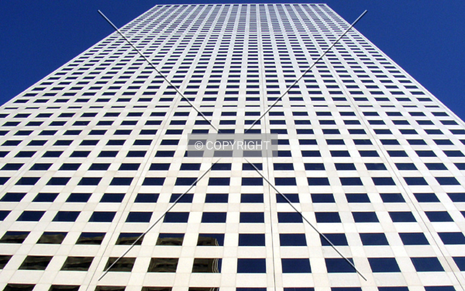 Photo 247-910-559
