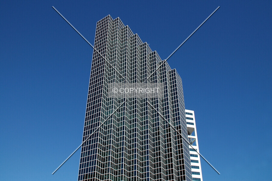 Photo 248-369-296