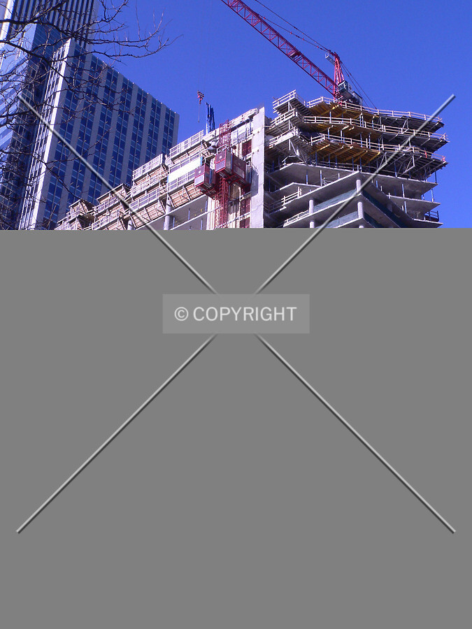 Photo 248-557-988