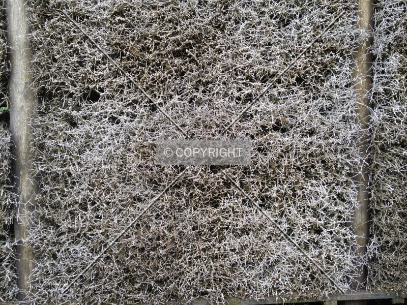 Photo 248-930-945
