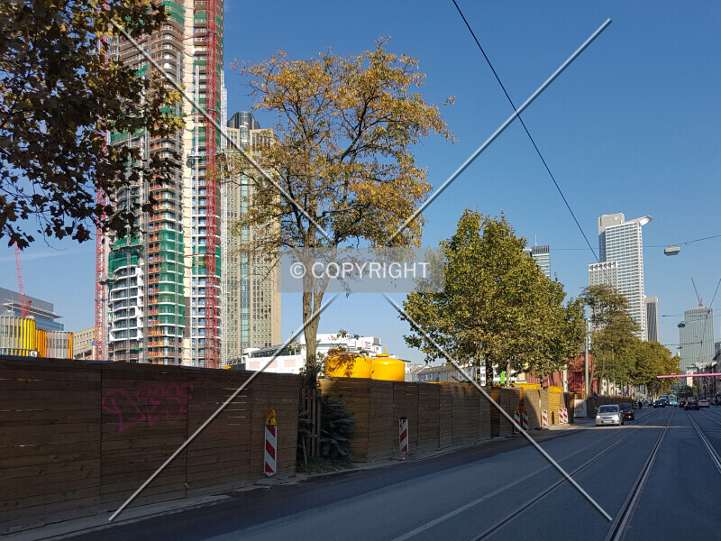 Photo 249-342-372